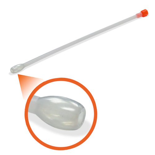 FeedTube C
